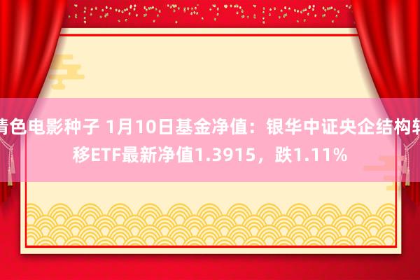 情色电影种子 1月10日基金净值：银华中证央企结构转移ETF最新净值1.3915，跌1.11%