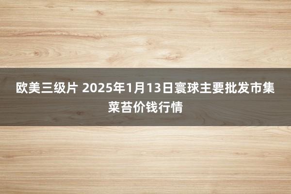 欧美三级片 2025年1月13日寰球主要批发市集菜苔价钱行情