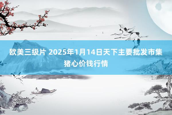 欧美三级片 2025年1月14日天下主要批发市集猪心价钱行情