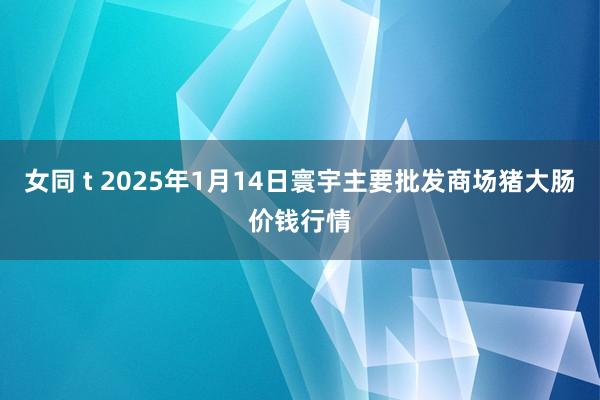 女同 t 2025年1月14日寰宇主要批发商场猪大肠价钱行情