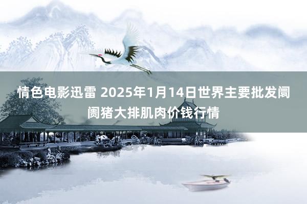 情色电影迅雷 2025年1月14日世界主要批发阛阓猪大排肌肉价钱行情