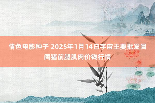 情色电影种子 2025年1月14日宇宙主要批发阛阓猪前腿肌肉价钱行情