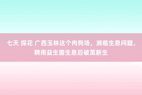 七天 探花 广西玉林这个肉狗场，濒临生息问题，聘用益生菌生息后破茧新生