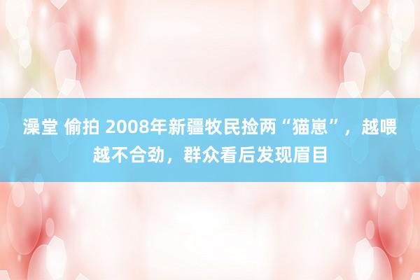 澡堂 偷拍 2008年新疆牧民捡两“猫崽”，越喂越不合劲，群众看后发现眉目